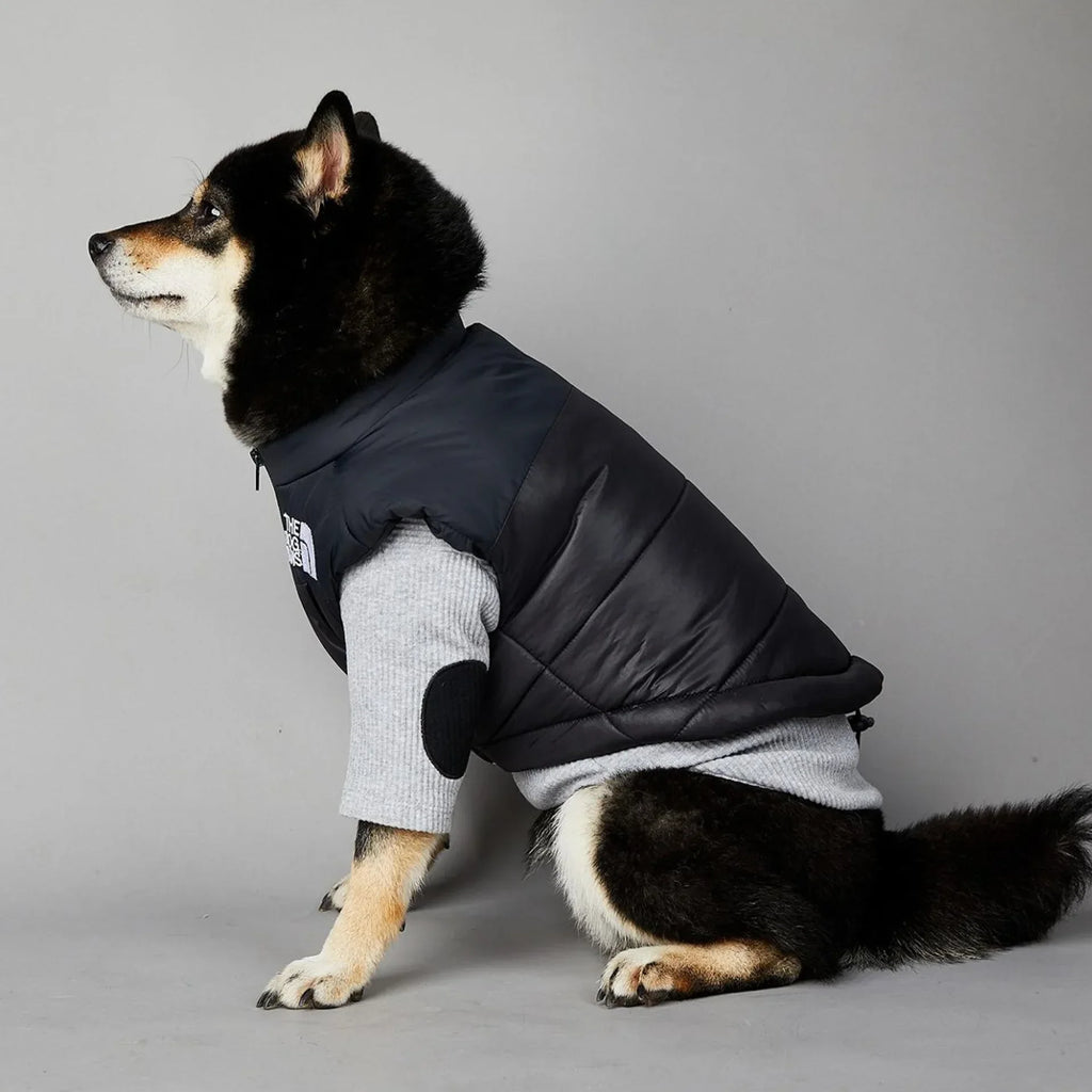 The Dog Fans Luxe Hondenpak