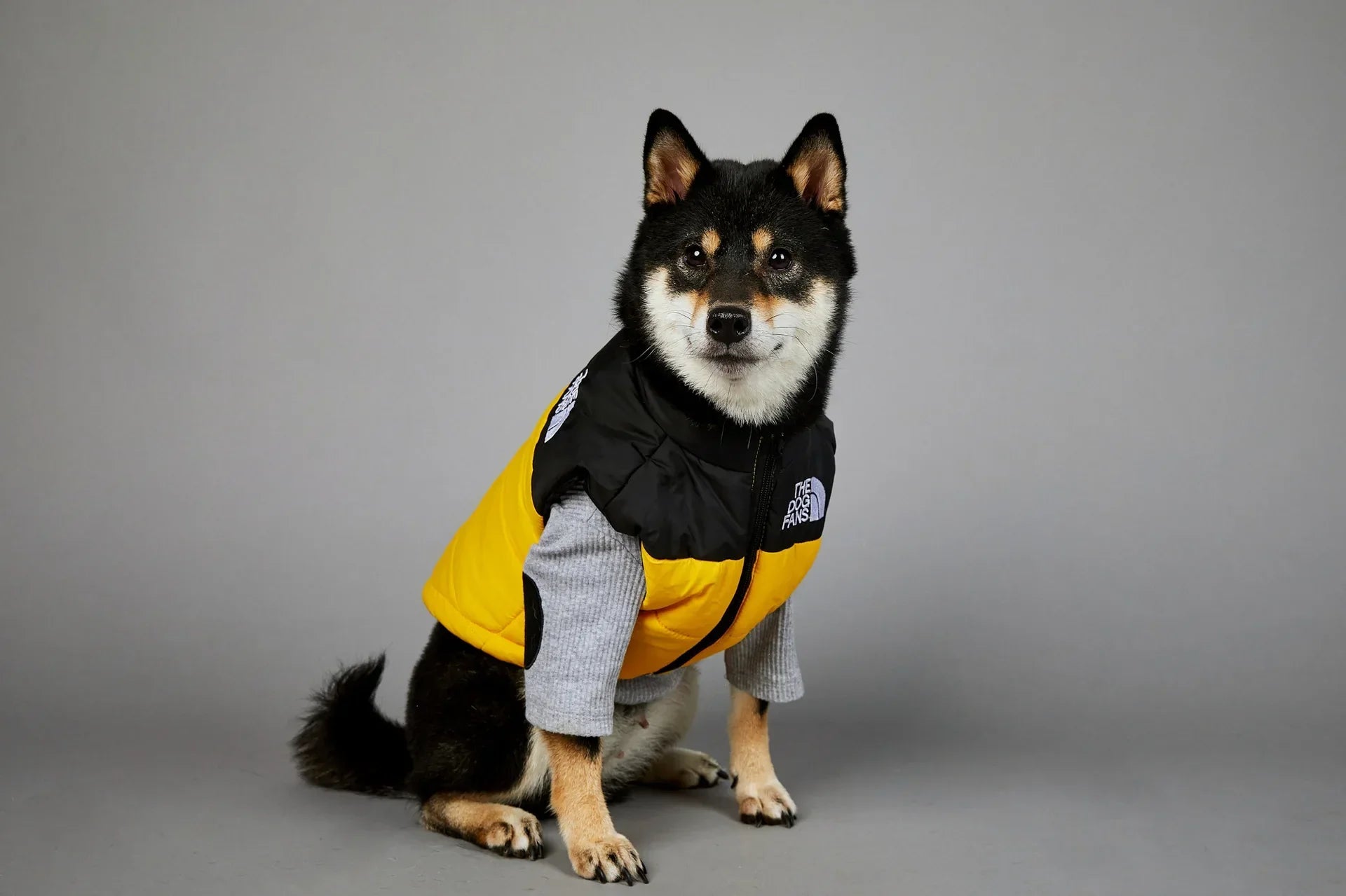 The Dog Fans Luxe Hondenpak