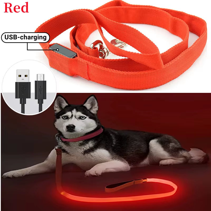 Led Pet Dog Leash Rope with Light Luminous Lead Leash USB Charging for Dog Safety Flashing Glowing Collar Harness Accessories