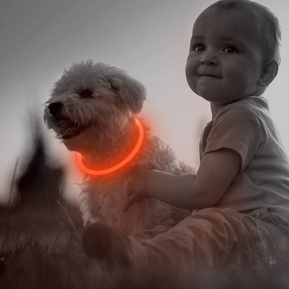 BSEEN Light Up Dog Collar, High Visibility LED Dog Collar Rechargeable- Rainproof TPU Cuttable Glowing Pet Collar for Small Dogs & Cats - Puppy Safety Lights for Night Walking (XS- Blue 40cm)