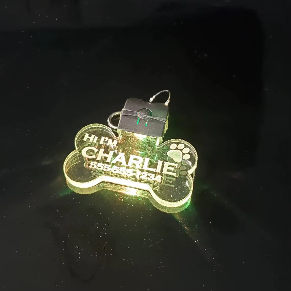 Customized Laser-Engraved Acrylic LED Pet ID Tag - Illuminated Safety Dog Luminous Pendant for Nighttime Dog Walks