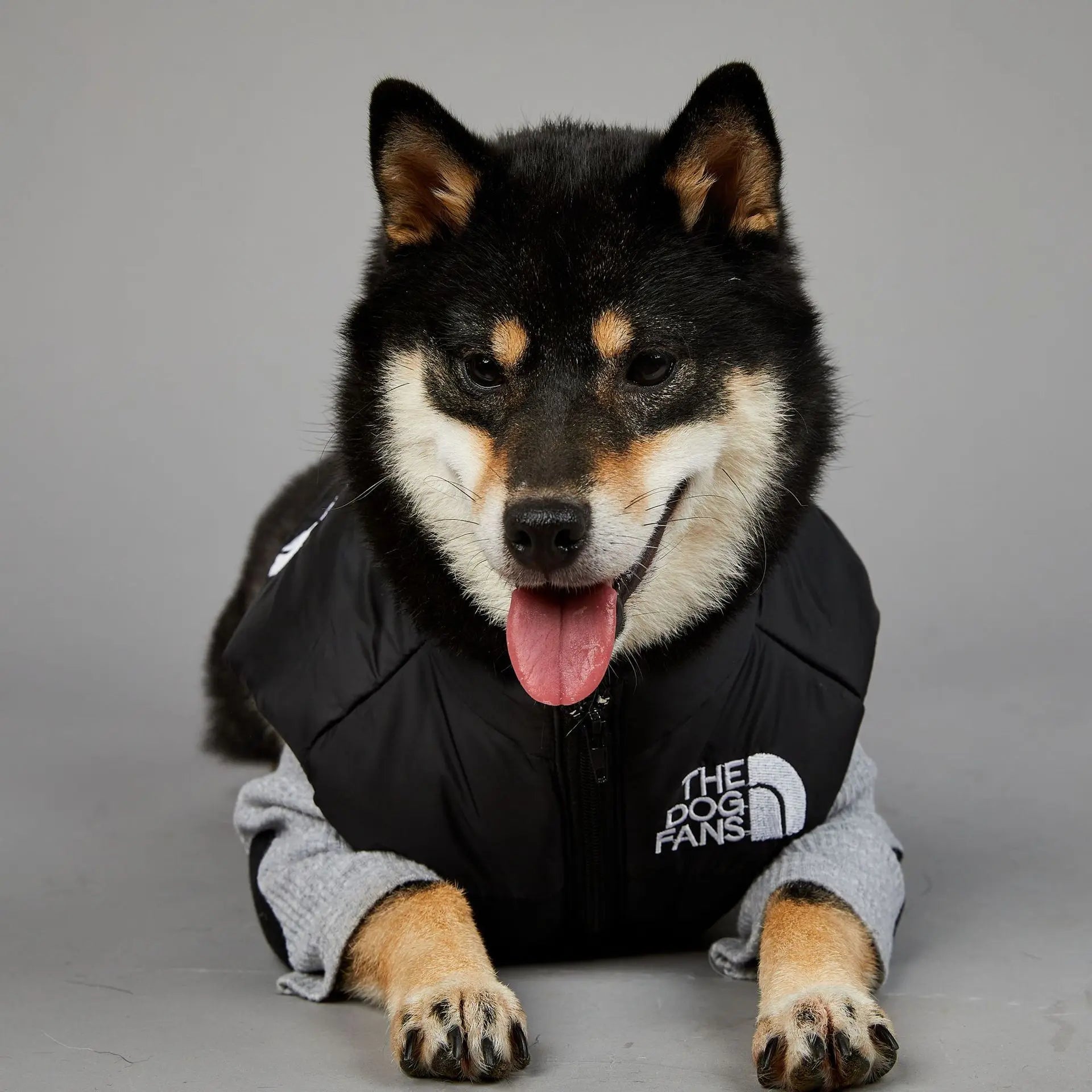 The Dog Fans Luxe Hondenpak