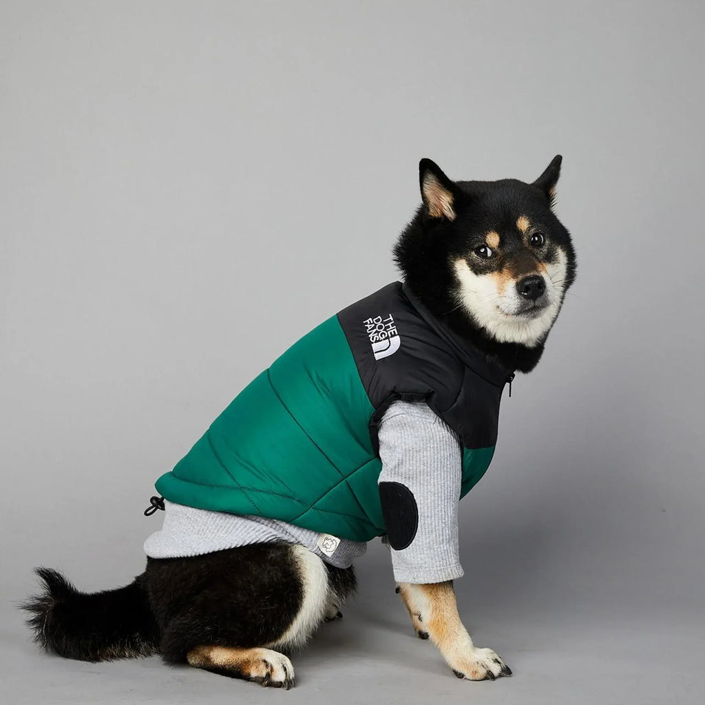 The Dog Fans Luxe Hondenpak