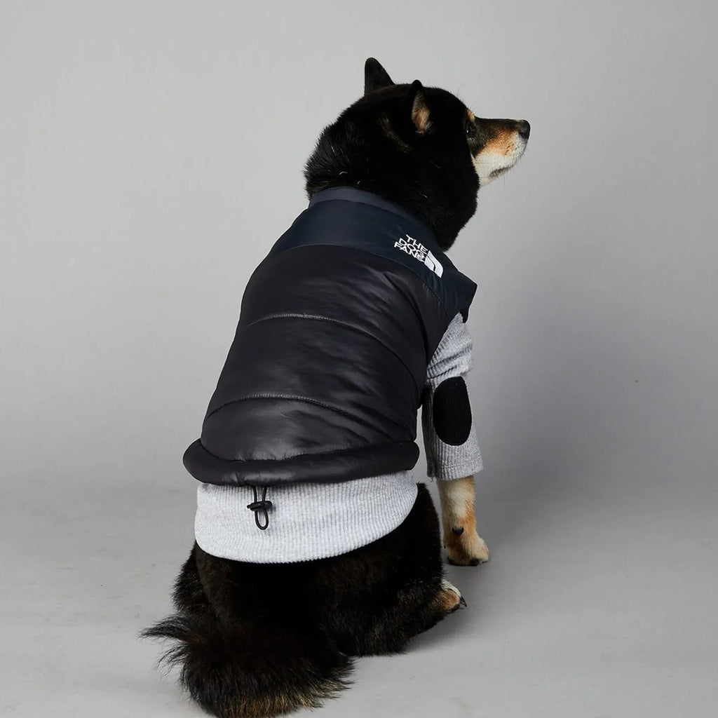 The Dog Fans Luxe Hondenpak