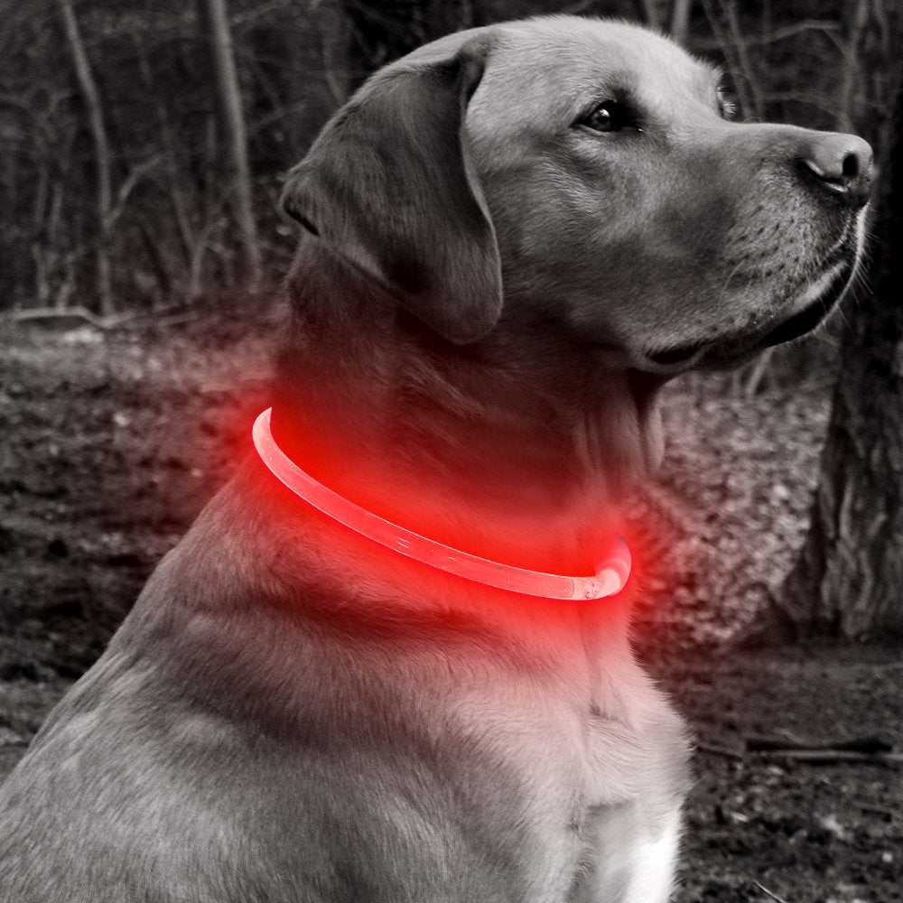 BSEEN Light Up Dog Collar, High Visibility LED Dog Collar Rechargeable- Rainproof TPU Cuttable Glowing Pet Collar for Small Dogs & Cats - Puppy Safety Lights for Night Walking (XS- Blue 40cm)