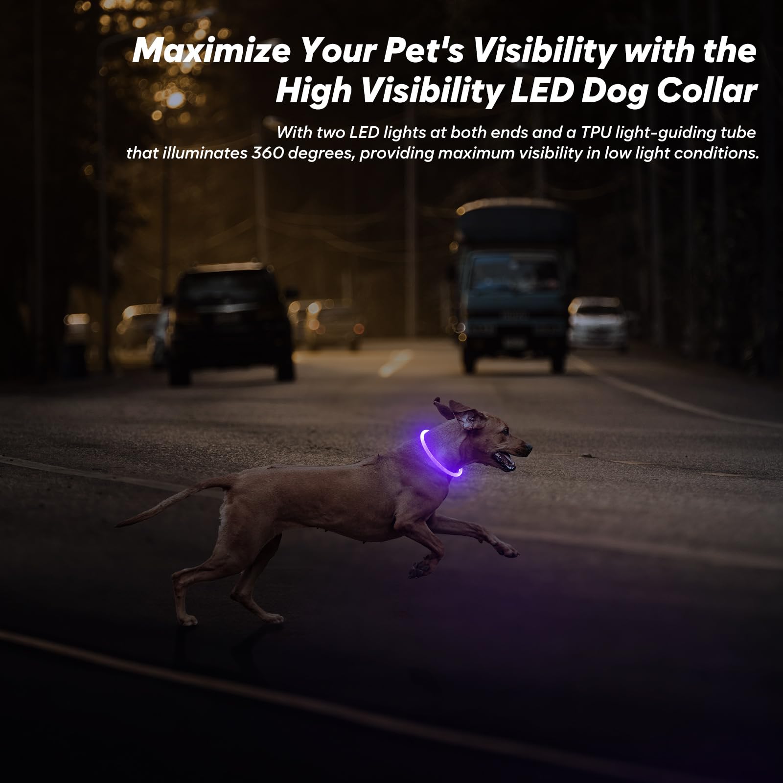 BSEEN Light Up Dog Collar, High Visibility LED Dog Collar Rechargeable- Rainproof TPU Cuttable Glowing Pet Collar for Small Dogs & Cats - Puppy Safety Lights for Night Walking (XS- Blue 40cm)