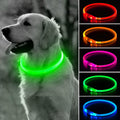 BSEEN Light Up Dog Collar, High Visibility LED Dog Collar Rechargeable- Rainproof TPU Cuttable Glowing Pet Collar for Small Dogs & Cats - Puppy Safety Lights for Night Walking (XS- Blue 40cm)