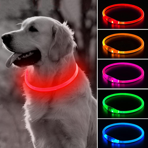 BSEEN Light Up Dog Collar, High Visibility LED Dog Collar Rechargeable- Rainproof TPU Cuttable Glowing Pet Collar for Small Dogs & Cats - Puppy Safety Lights for Night Walking (XS- Blue 40cm)