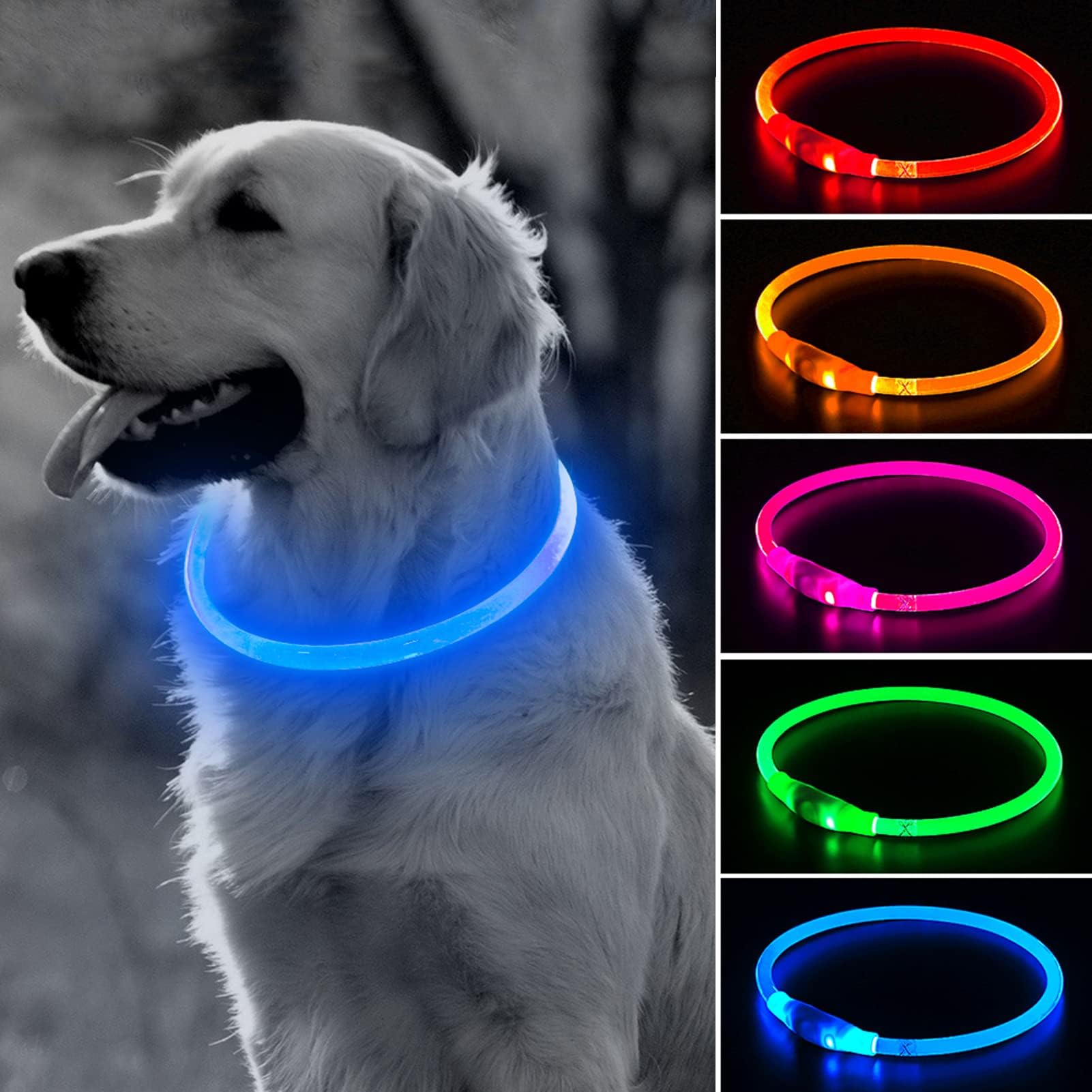 BSEEN Light Up Dog Collar, High Visibility LED Dog Collar Rechargeable- Rainproof TPU Cuttable Glowing Pet Collar for Small Dogs & Cats - Puppy Safety Lights for Night Walking (XS- Blue 40cm)