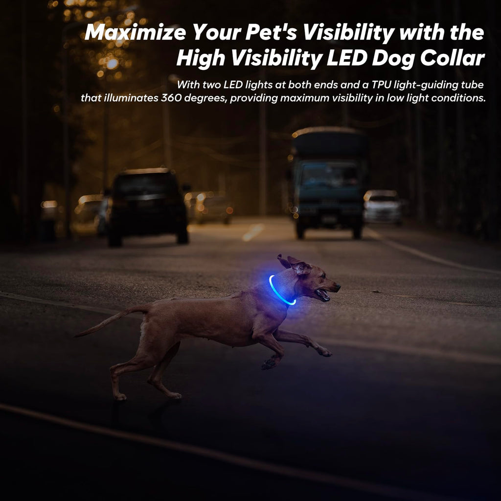 BSEEN Light Up Dog Collar, High Visibility LED Dog Collar Rechargeable- Rainproof TPU Cuttable Glowing Pet Collar for Small Dogs & Cats - Puppy Safety Lights for Night Walking (XS- Blue 40cm)