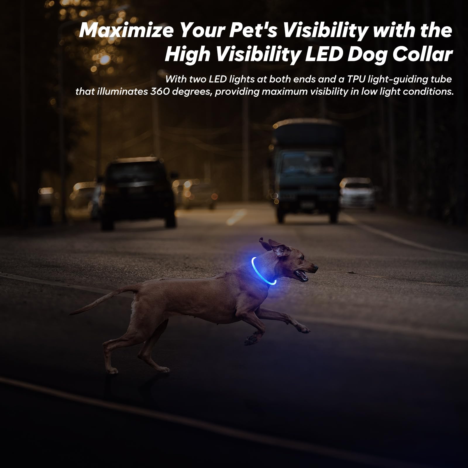 BSEEN Light Up Dog Collar, High Visibility LED Dog Collar Rechargeable- Rainproof TPU Cuttable Glowing Pet Collar for Small Dogs & Cats - Puppy Safety Lights for Night Walking (XS- Blue 40cm)