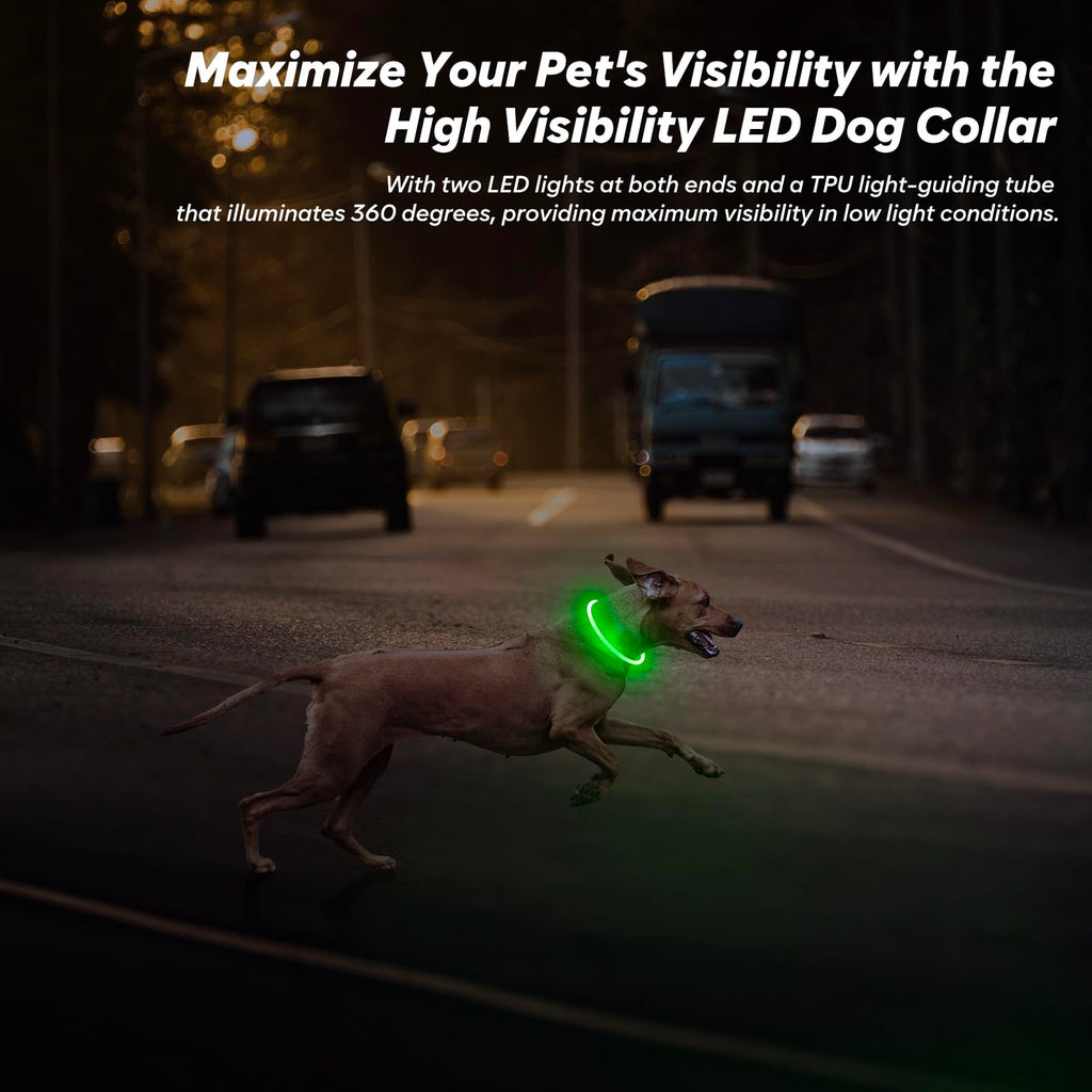 BSEEN Light Up Dog Collar, High Visibility LED Dog Collar Rechargeable- Rainproof TPU Cuttable Glowing Pet Collar for Small Dogs & Cats - Puppy Safety Lights for Night Walking (XS- Blue 40cm)