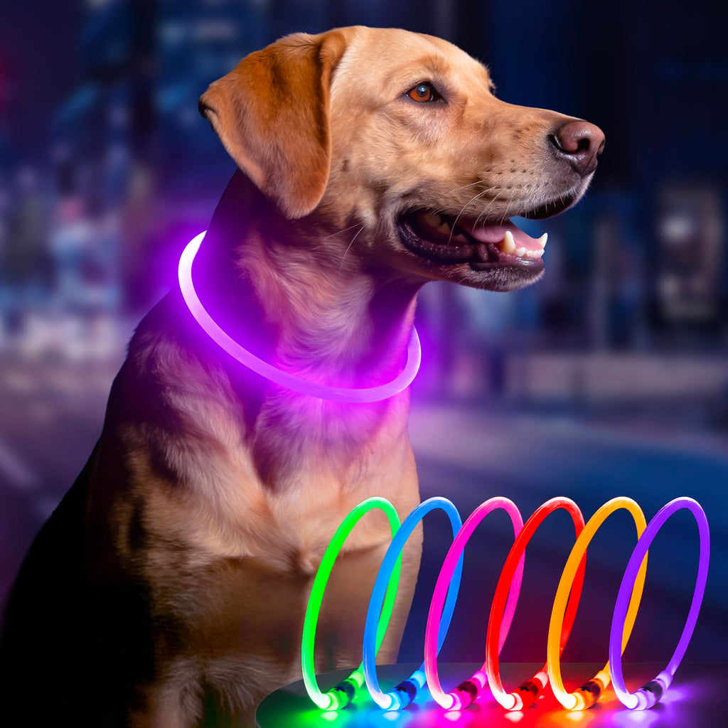 BSEEN Light Up Dog Collar, High Visibility LED Dog Collar Rechargeable- Rainproof TPU Cuttable Glowing Pet Collar for Small Dogs & Cats - Puppy Safety Lights for Night Walking (XS- Blue 40cm)