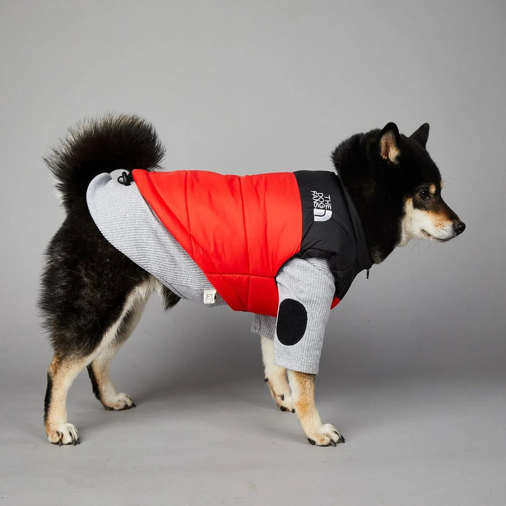 The Dog Fans Luxe Hondenpak