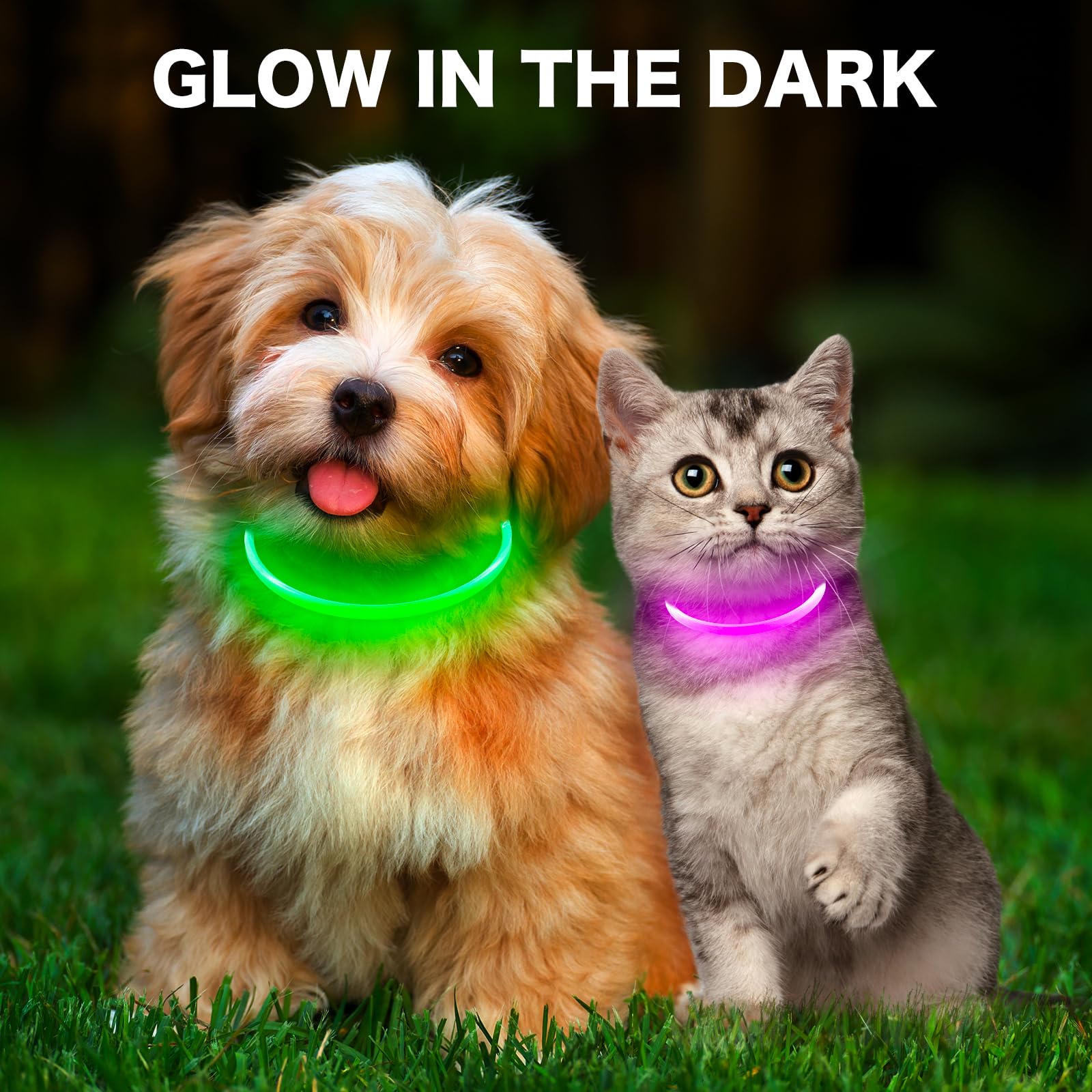 BSEEN Light Up Dog Collar, High Visibility LED Dog Collar Rechargeable- Rainproof TPU Cuttable Glowing Pet Collar for Small Dogs & Cats - Puppy Safety Lights for Night Walking (XS- Blue 40cm)