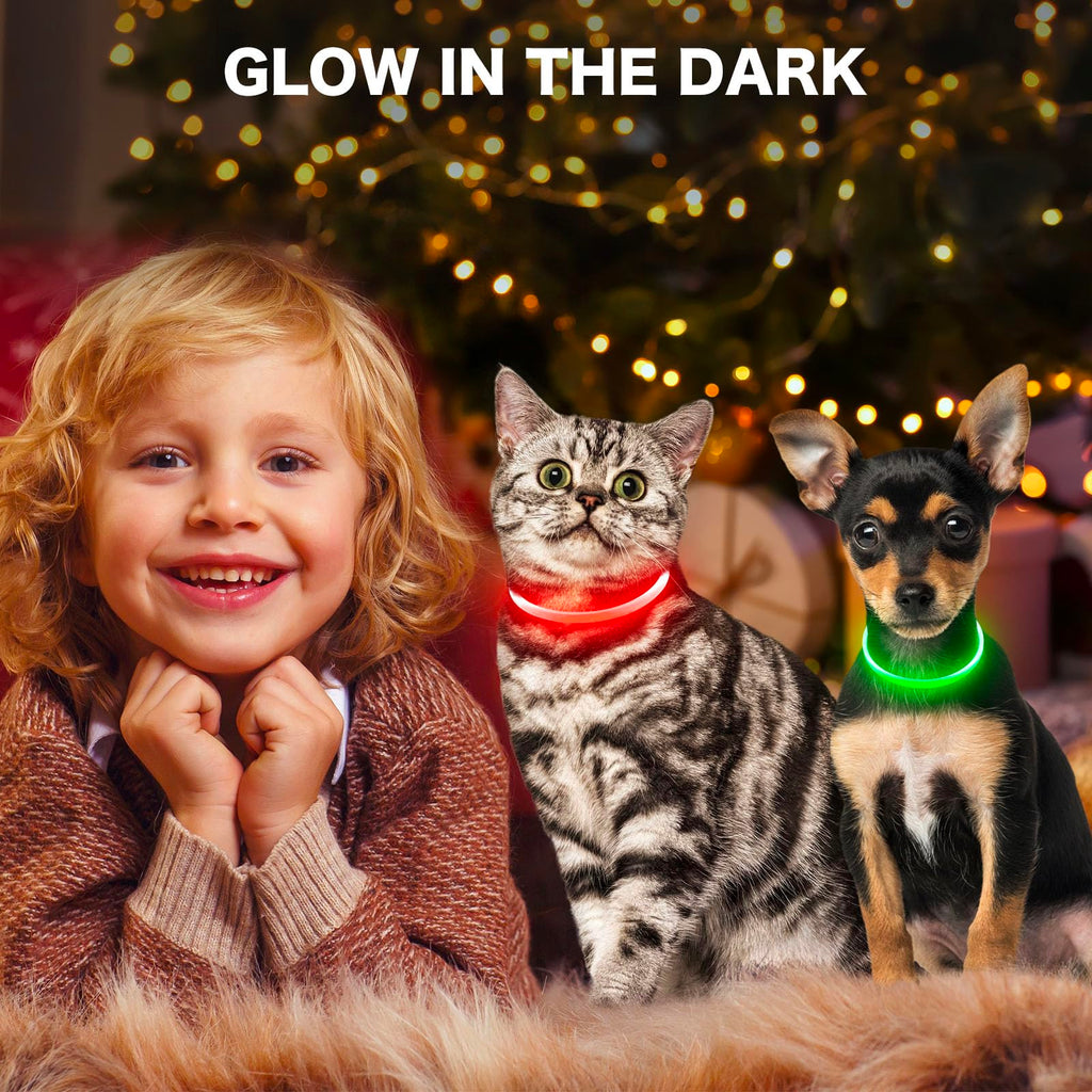 BSEEN Light Up Dog Collar, High Visibility LED Dog Collar Rechargeable- Rainproof TPU Cuttable Glowing Pet Collar for Small Dogs & Cats - Puppy Safety Lights for Night Walking (XS- Blue 40cm)