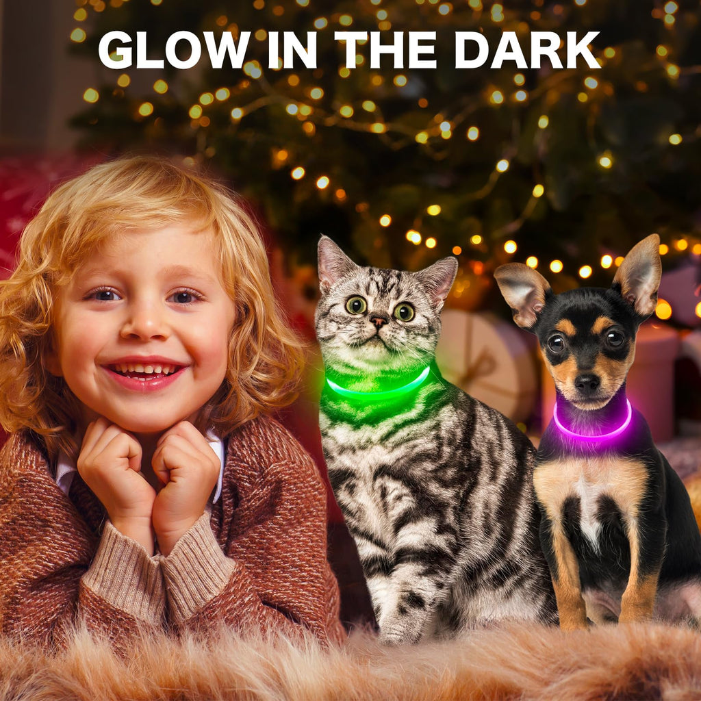 BSEEN Light Up Dog Collar, High Visibility LED Dog Collar Rechargeable- Rainproof TPU Cuttable Glowing Pet Collar for Small Dogs & Cats - Puppy Safety Lights for Night Walking (XS- Blue 40cm)