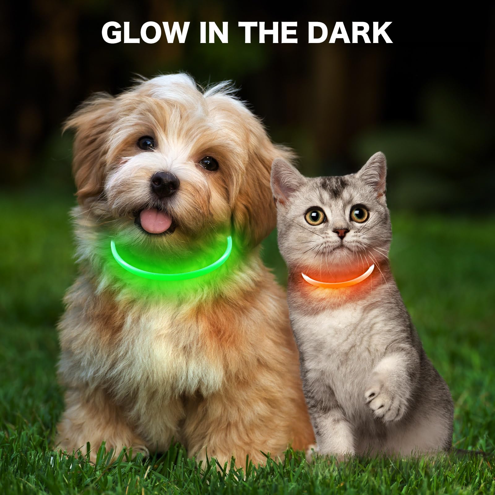 BSEEN Light Up Dog Collar, High Visibility LED Dog Collar Rechargeable- Rainproof TPU Cuttable Glowing Pet Collar for Small Dogs & Cats - Puppy Safety Lights for Night Walking (XS- Blue 40cm)