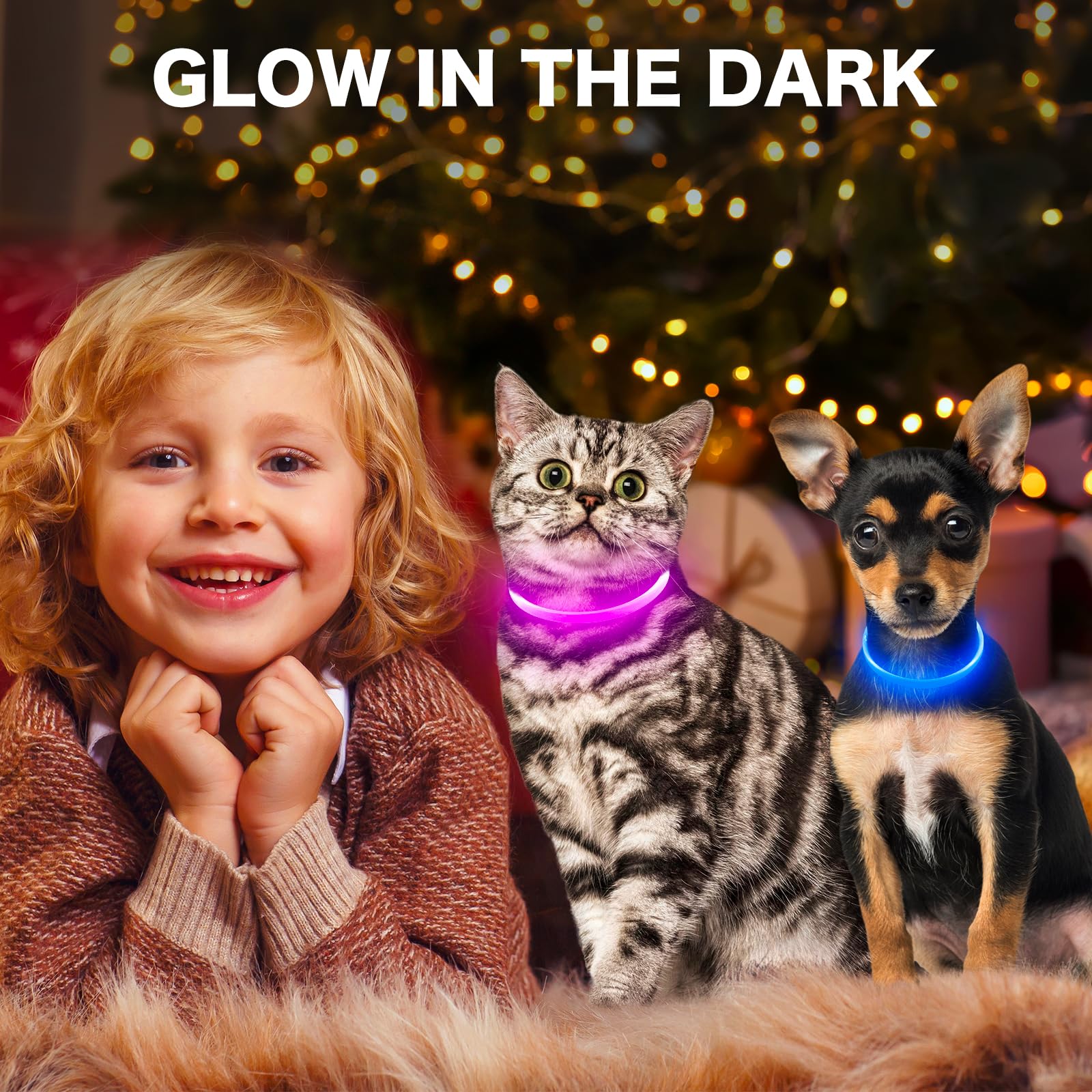 BSEEN Light Up Dog Collar, High Visibility LED Dog Collar Rechargeable- Rainproof TPU Cuttable Glowing Pet Collar for Small Dogs & Cats - Puppy Safety Lights for Night Walking (XS- Blue 40cm)