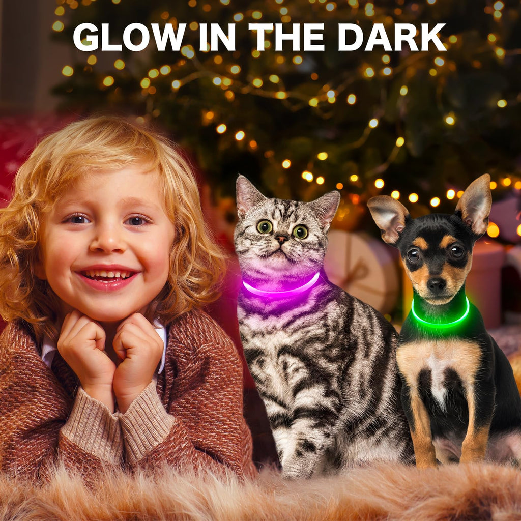 BSEEN Light Up Dog Collar, High Visibility LED Dog Collar Rechargeable- Rainproof TPU Cuttable Glowing Pet Collar for Small Dogs & Cats - Puppy Safety Lights for Night Walking (XS- Blue 40cm)