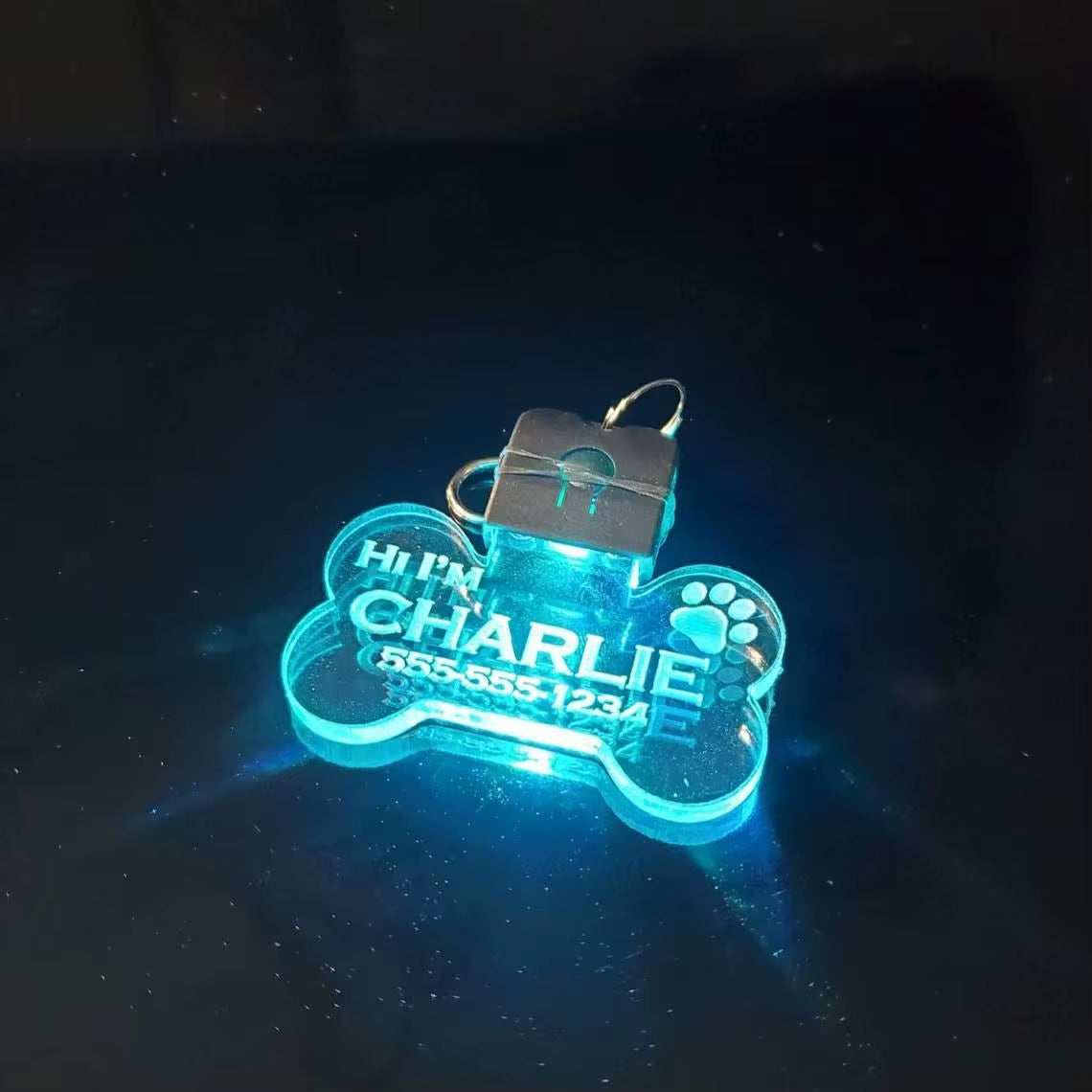 Customized Laser-Engraved Acrylic LED Pet ID Tag - Illuminated Safety Dog Luminous Pendant for Nighttime Dog Walks