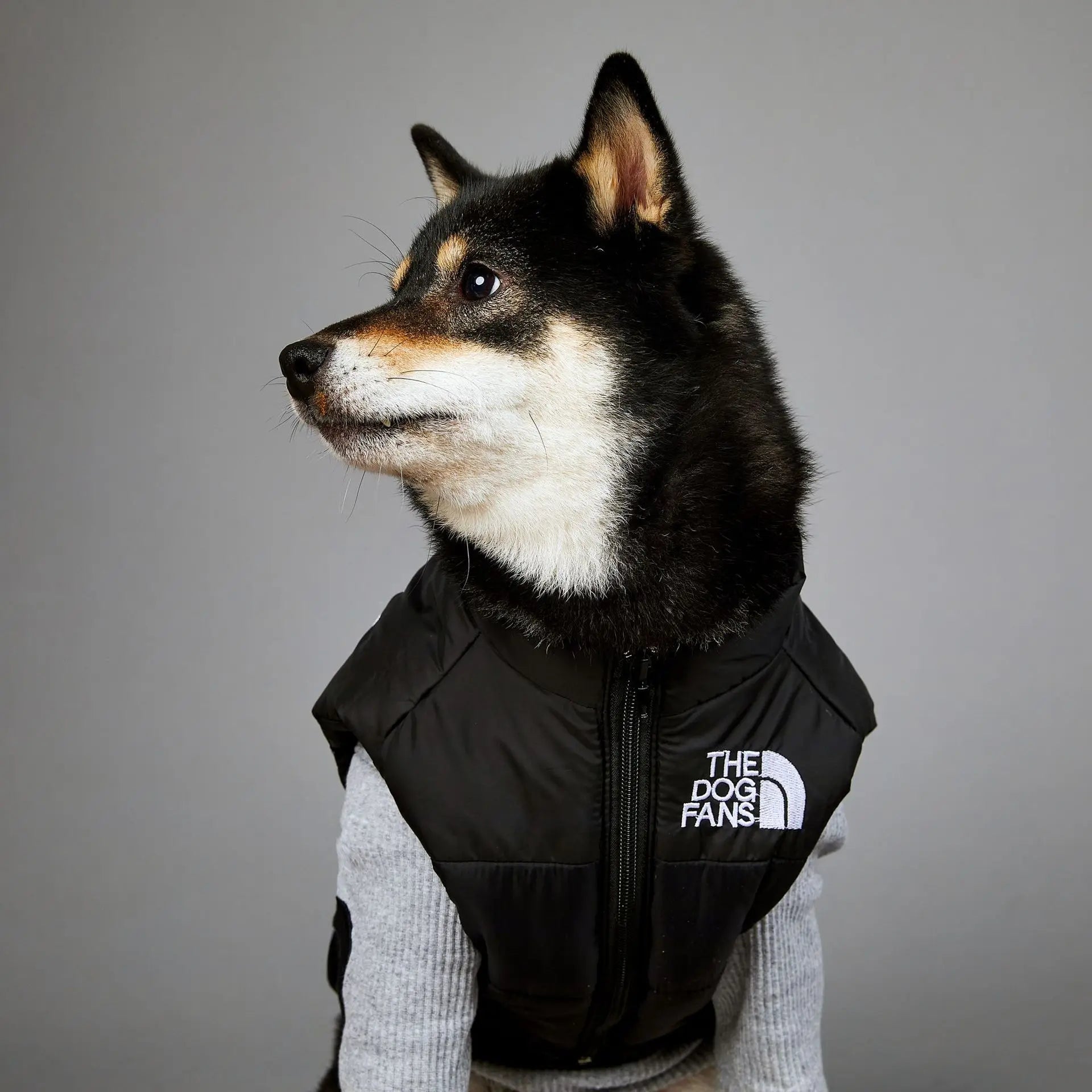 The Dog Fans Luxe Hondenpak