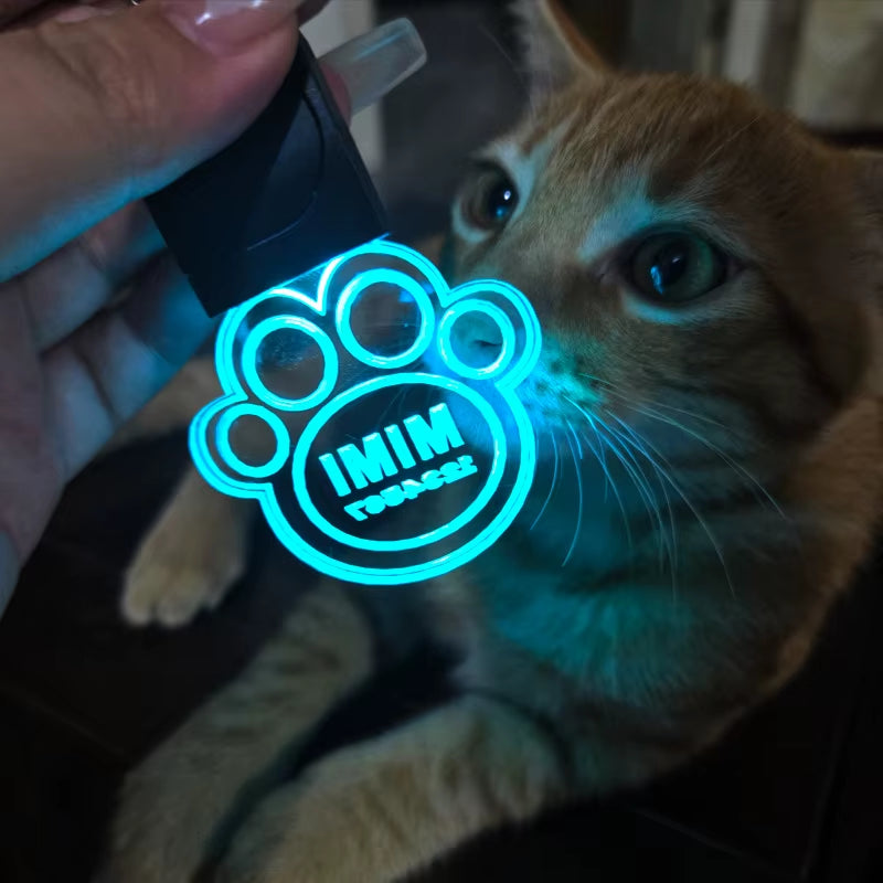 Customized Laser-Engraved Acrylic LED Pet ID Tag - Illuminated Safety Dog Luminous Pendant for Nighttime Dog Walks