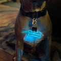 Customized Laser-Engraved Acrylic LED Pet ID Tag - Illuminated Safety Dog Luminous Pendant for Nighttime Dog Walks