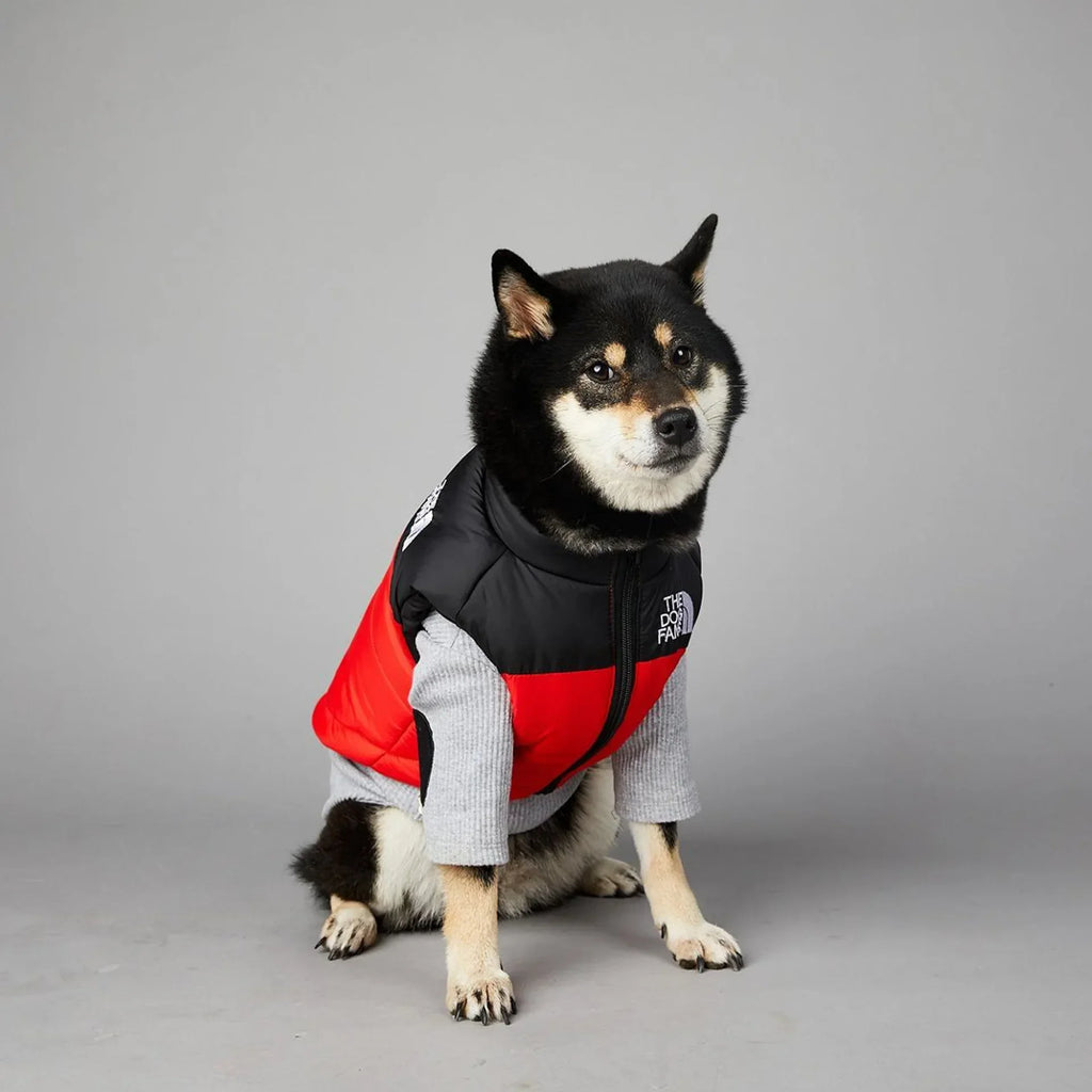 The Dog Fans Luxe Hondenpak