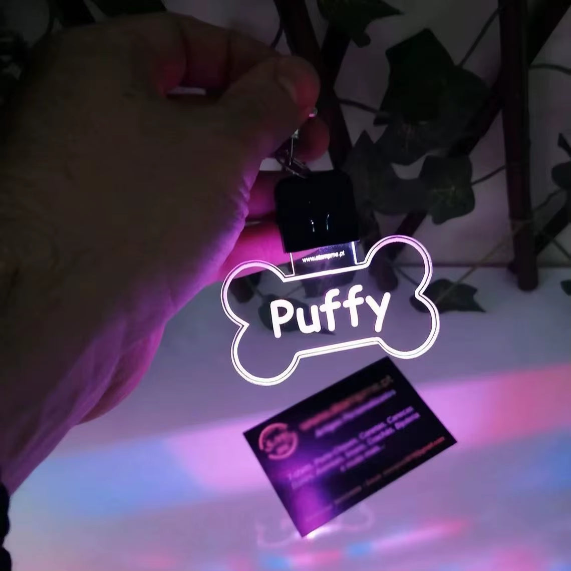 Customized Laser-Engraved Acrylic LED Pet ID Tag - Illuminated Safety Dog Luminous Pendant for Nighttime Dog Walks